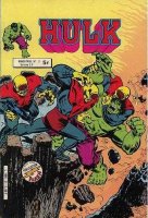 Grand Scan Hulk Publication Flash n 21